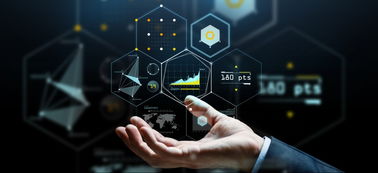 联邦级别数据分析部署中的数据高效处理策略